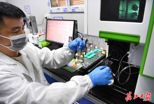 武漢中小企業借腦高校，以專精特新勁頭角逐信息技術賽道